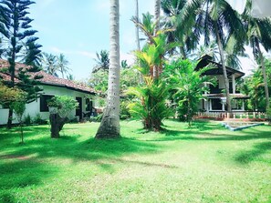 Property grounds - Sonri Villa (Unawatuna)