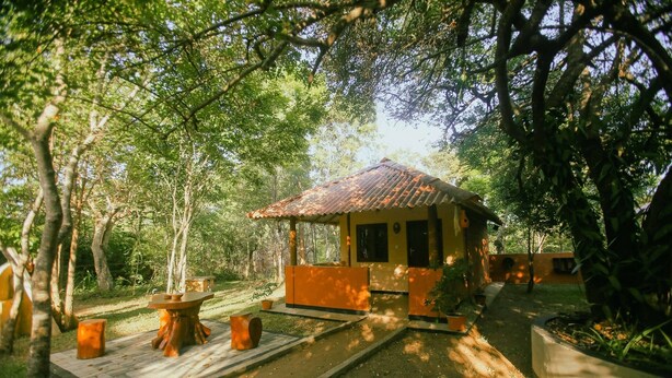 A rustic wooden structure with a tiled roof, surrounded by lush greenery and a paved pathway. - Niyagala Lodge (Sigiriya)