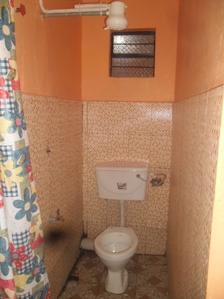 A small bathroom with a toilet, a shower curtain, and a window.