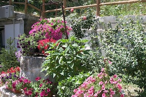 Taman