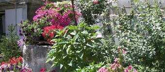 Country House Antiche Dimore