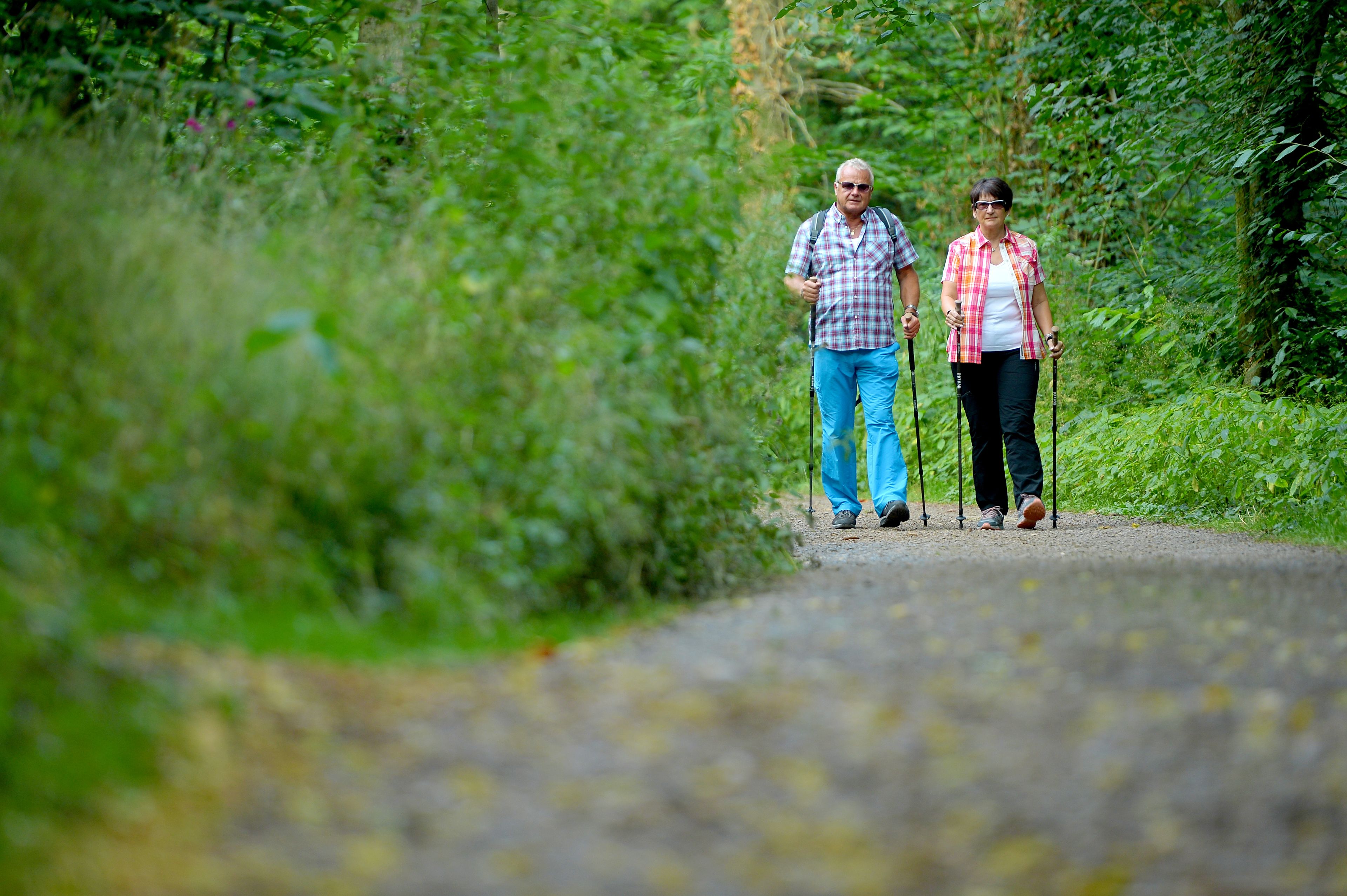 Dos personas caminando por un sendero rodeado de vegetación.
