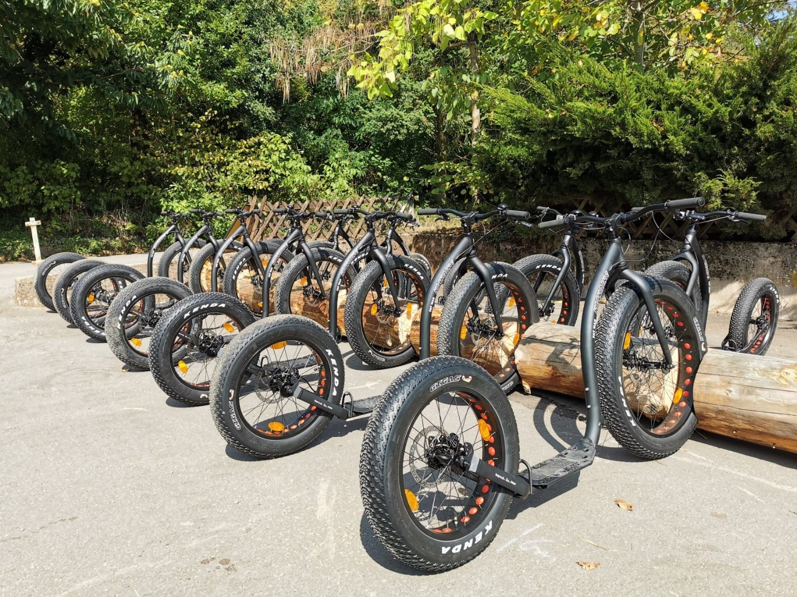 A row of bicycles parked outdoors with a natural backdrop.