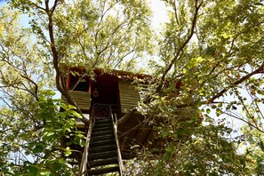 Panoramic Tree House, 1 King Bed, Balcony - Pinthaliya Resort & Spa (Avudangawa)