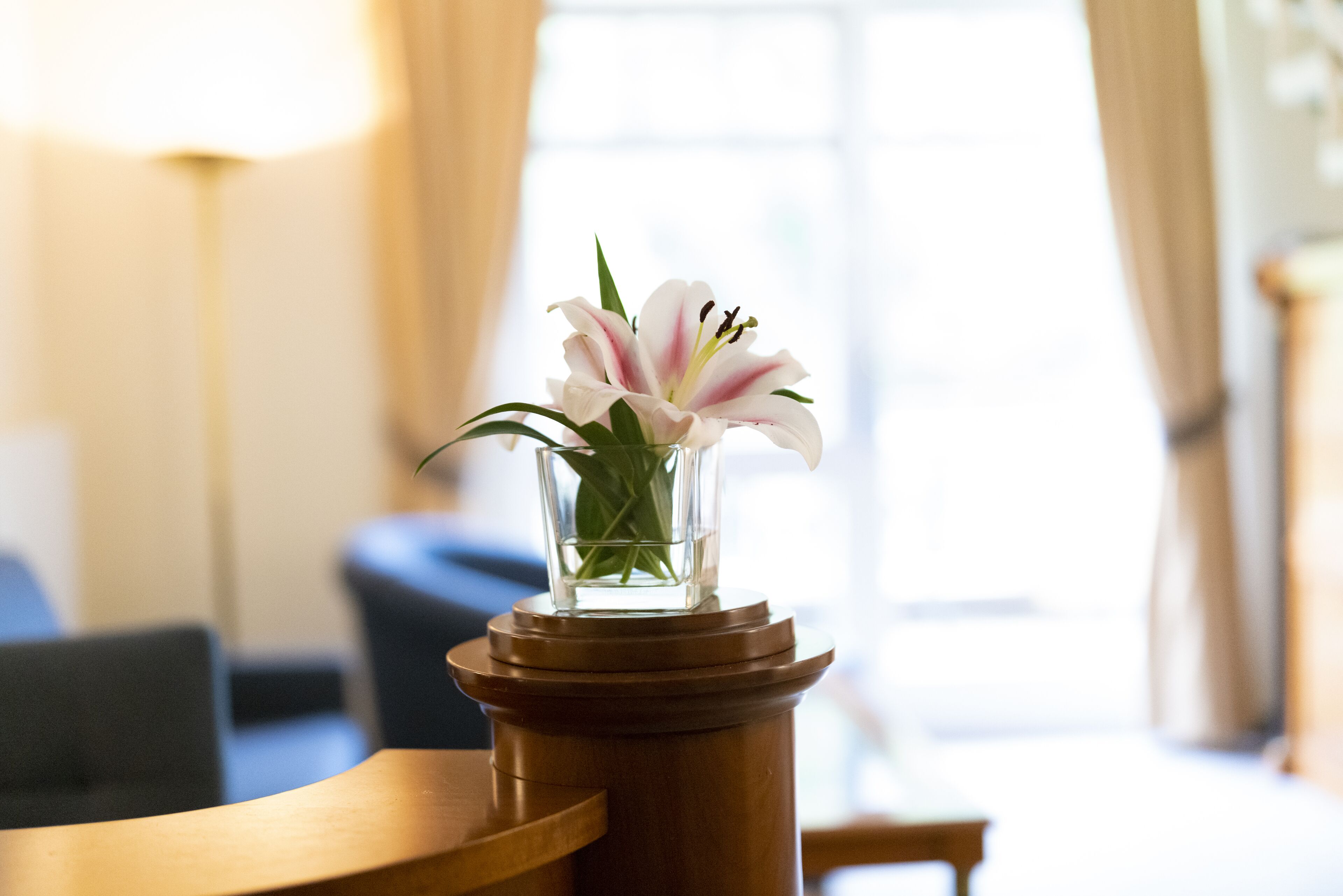 A clear view of a white lily in a glass vase on a wooden pedestal in a well-lit room with a window and a lamp in the background.