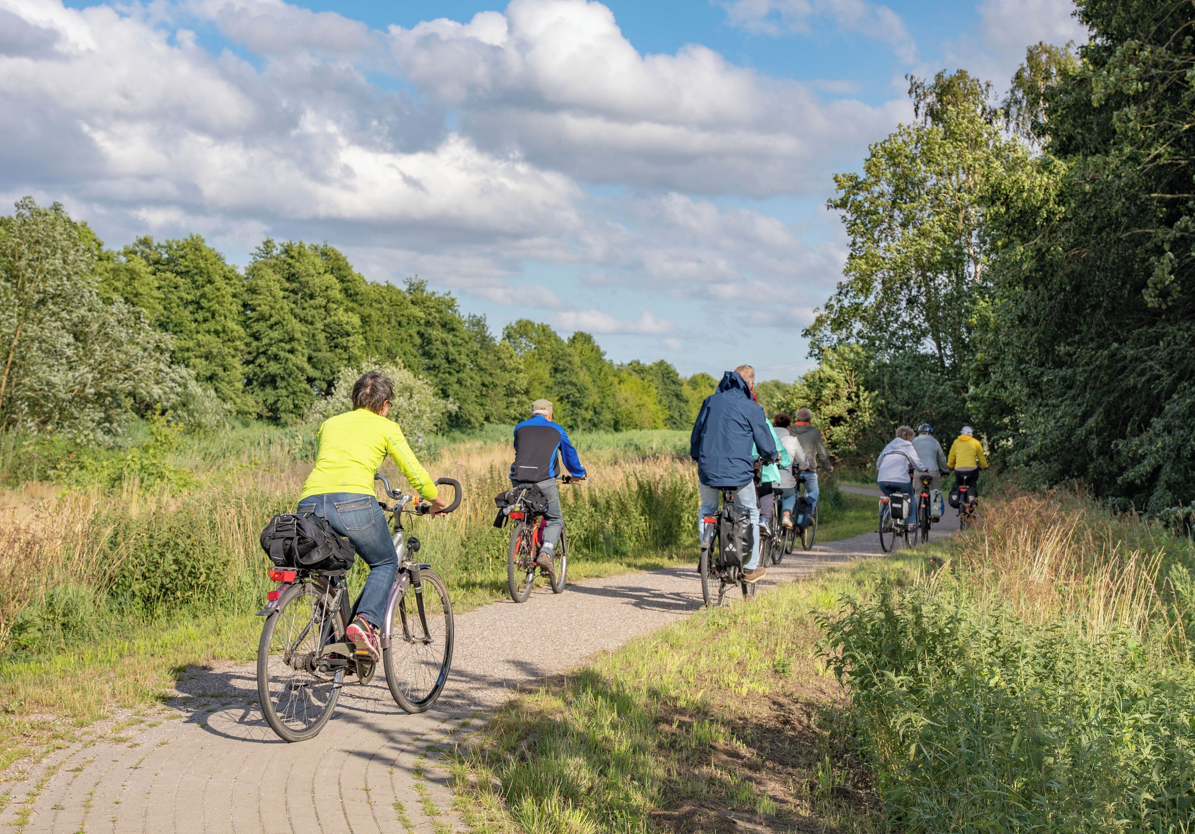 Un grupo de ciclistas en un camino pavimentado rodeado de vegetación.
