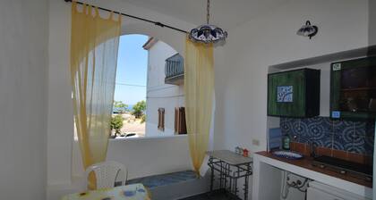 Cannella Studio