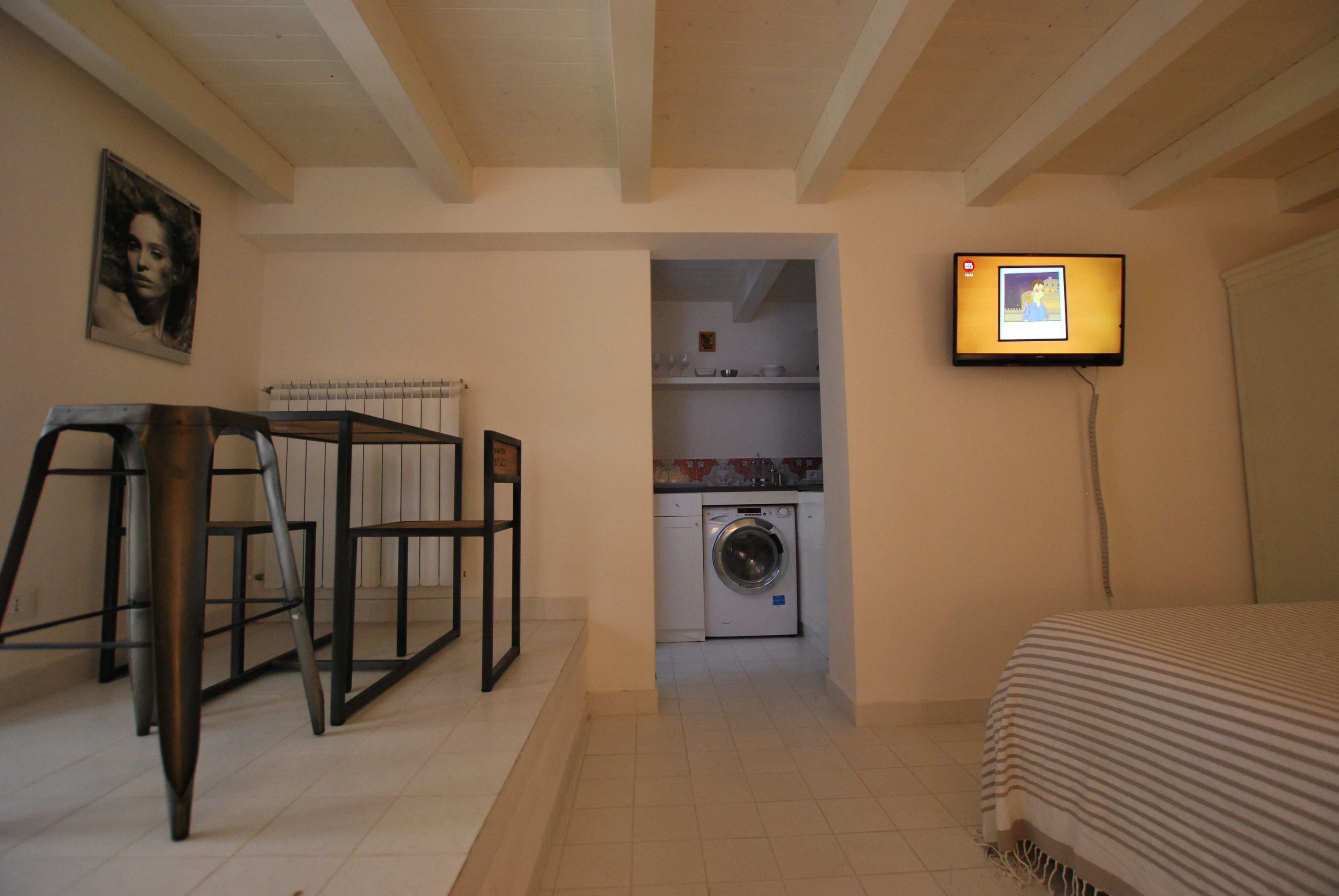 Ein kleines Zimmer mit Waschmaschine, einem Bett, einem Fernseher und einer Heizung.