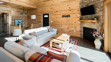 Smart TV, fireplace, DVD player, books