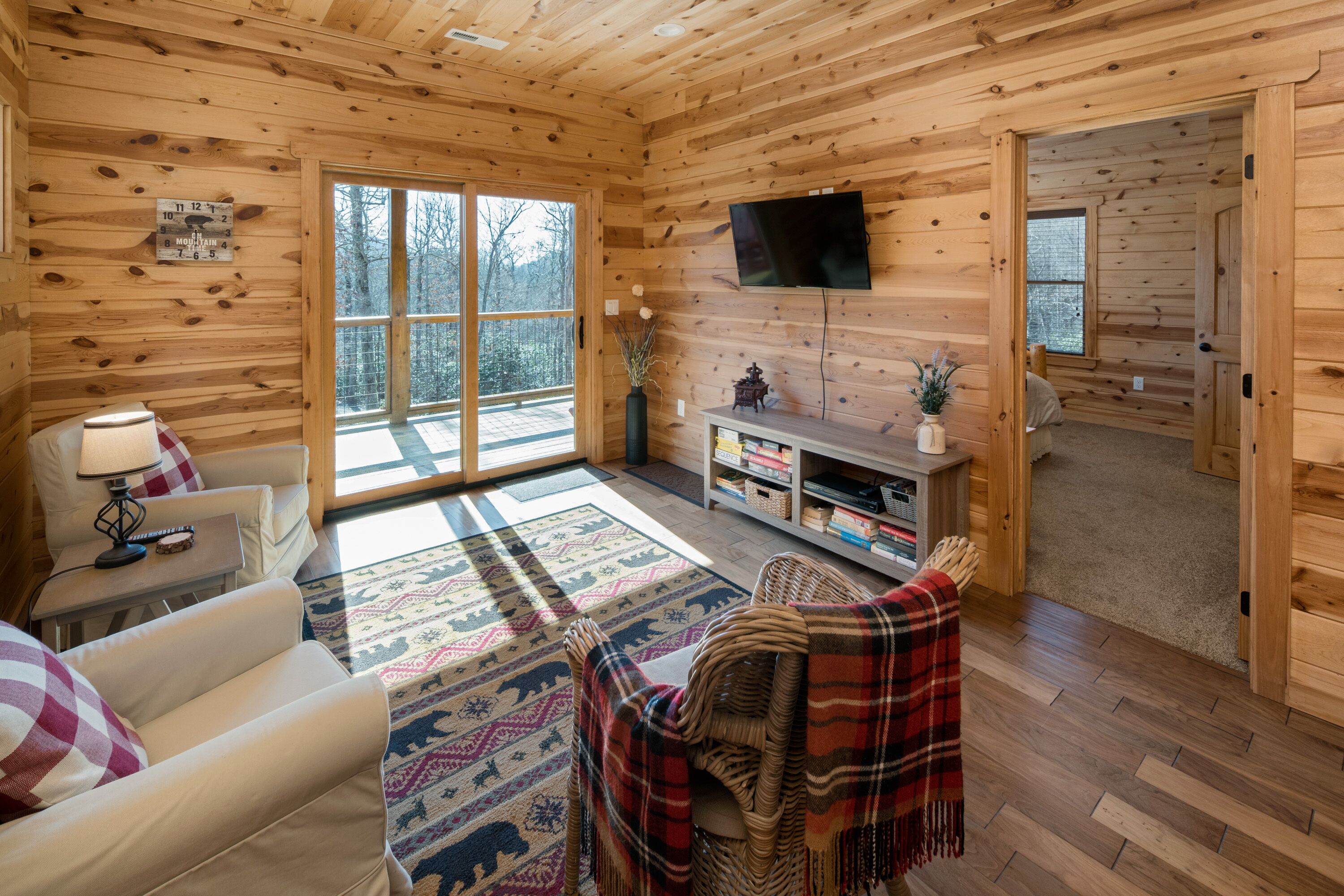 TV connectée, cheminée, lecteur de DVD, livres