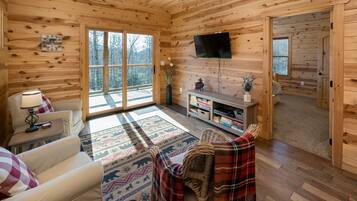 TV connectée, cheminée, lecteur de DVD, livres