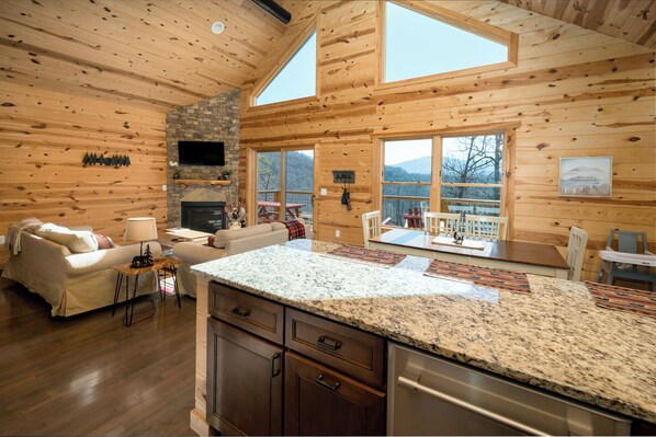 Smart TV, fireplace, DVD player, books