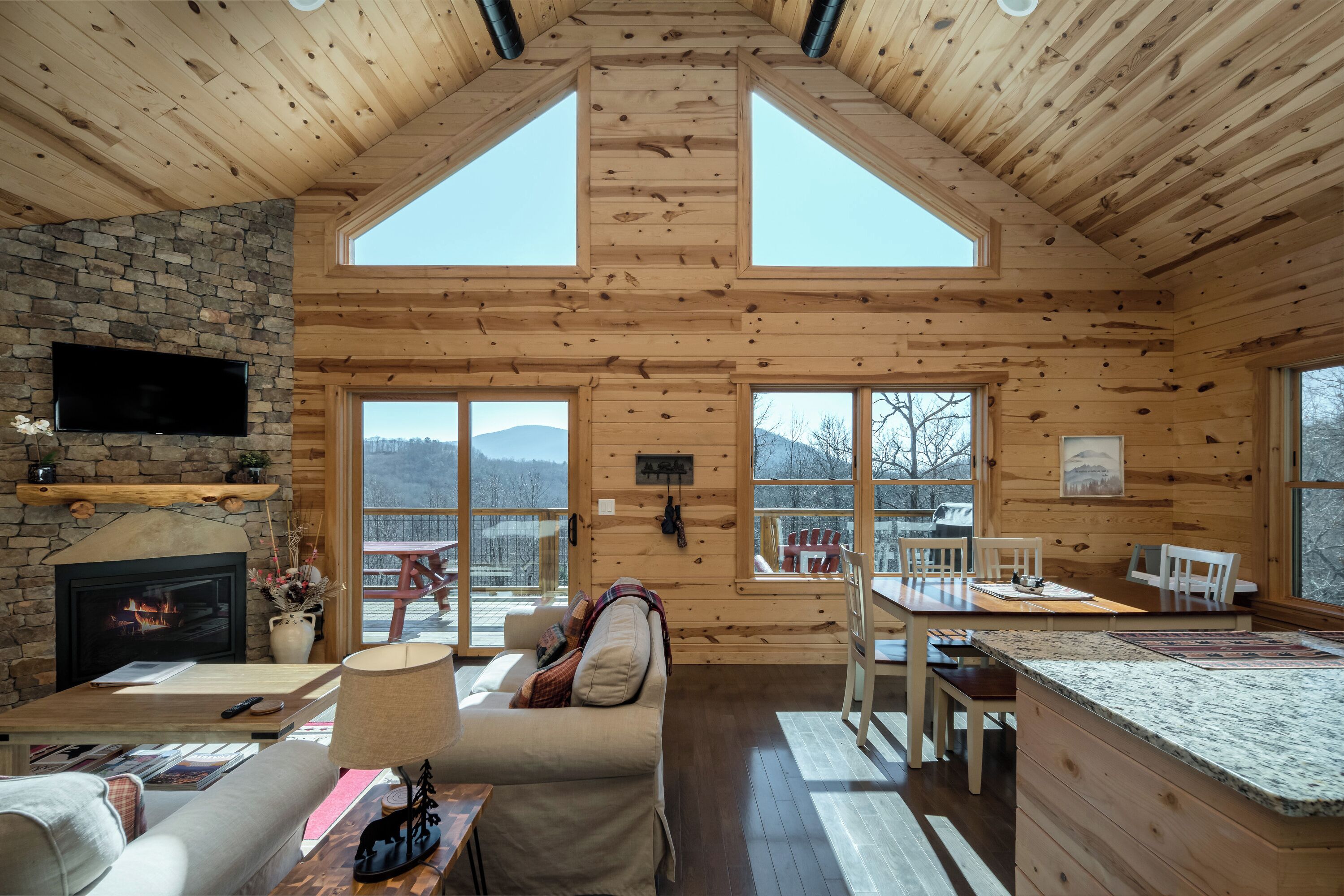 Smart TV, fireplace, DVD player, books