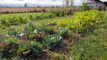 Jardín