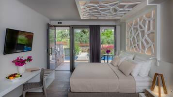 Double room Plunge Pool | Minibar, coffres-forts dans les chambres, bureau, rideaux occultants