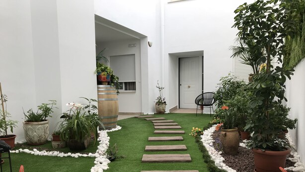 A narrow pathway with stepping stones leading to a door, surrounded by potted plants and white pebbles.