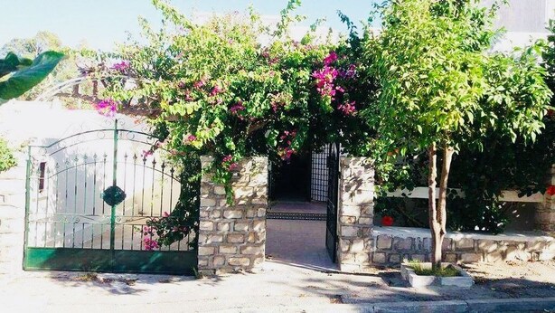 Garden view - Maison Les Chatelets (Hammamet)