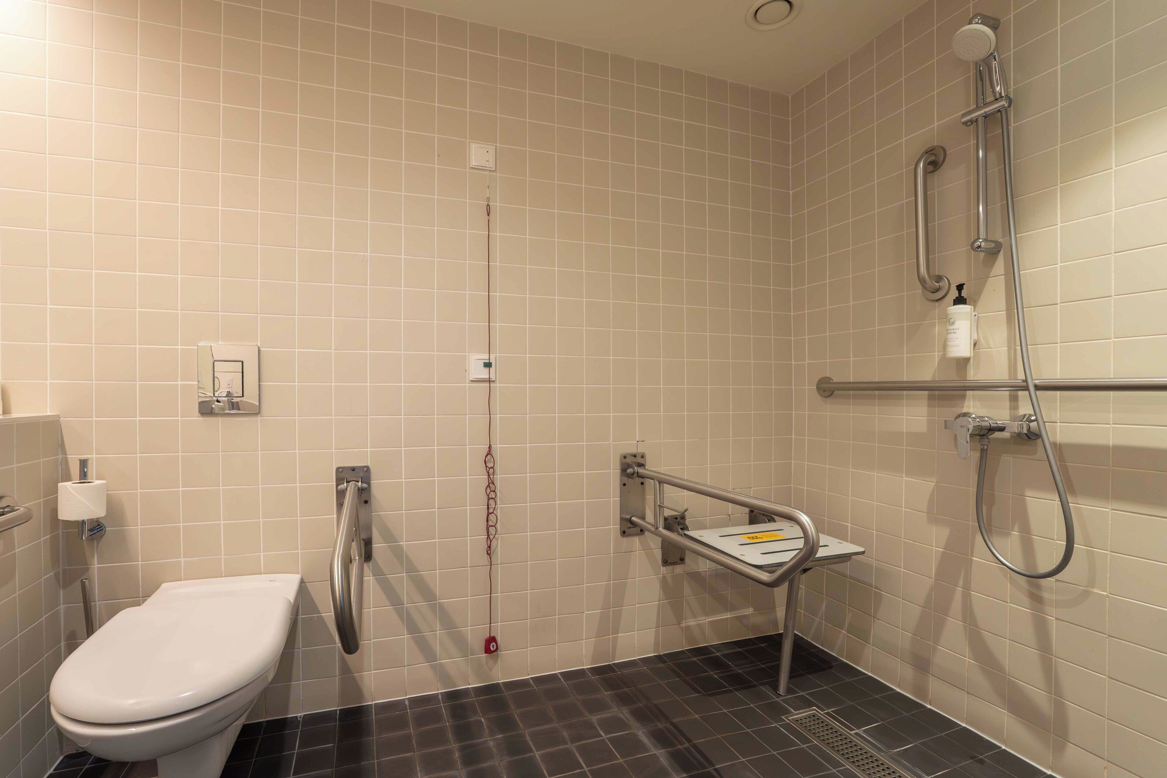 A bathroom with a toilet, grab bars, a shower with a handheld showerhead, and a soap dispenser.