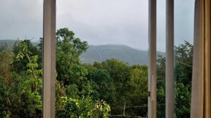 A view through a window with a metal frame, featuring dense green foliage and distant hills.