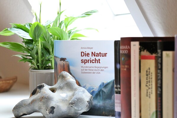 A book titled "Die Natur spricht" by Amira Meyer, a potted plant, and a rock sculpture on a shelf. - grünblau Vitalpension (Rostock)