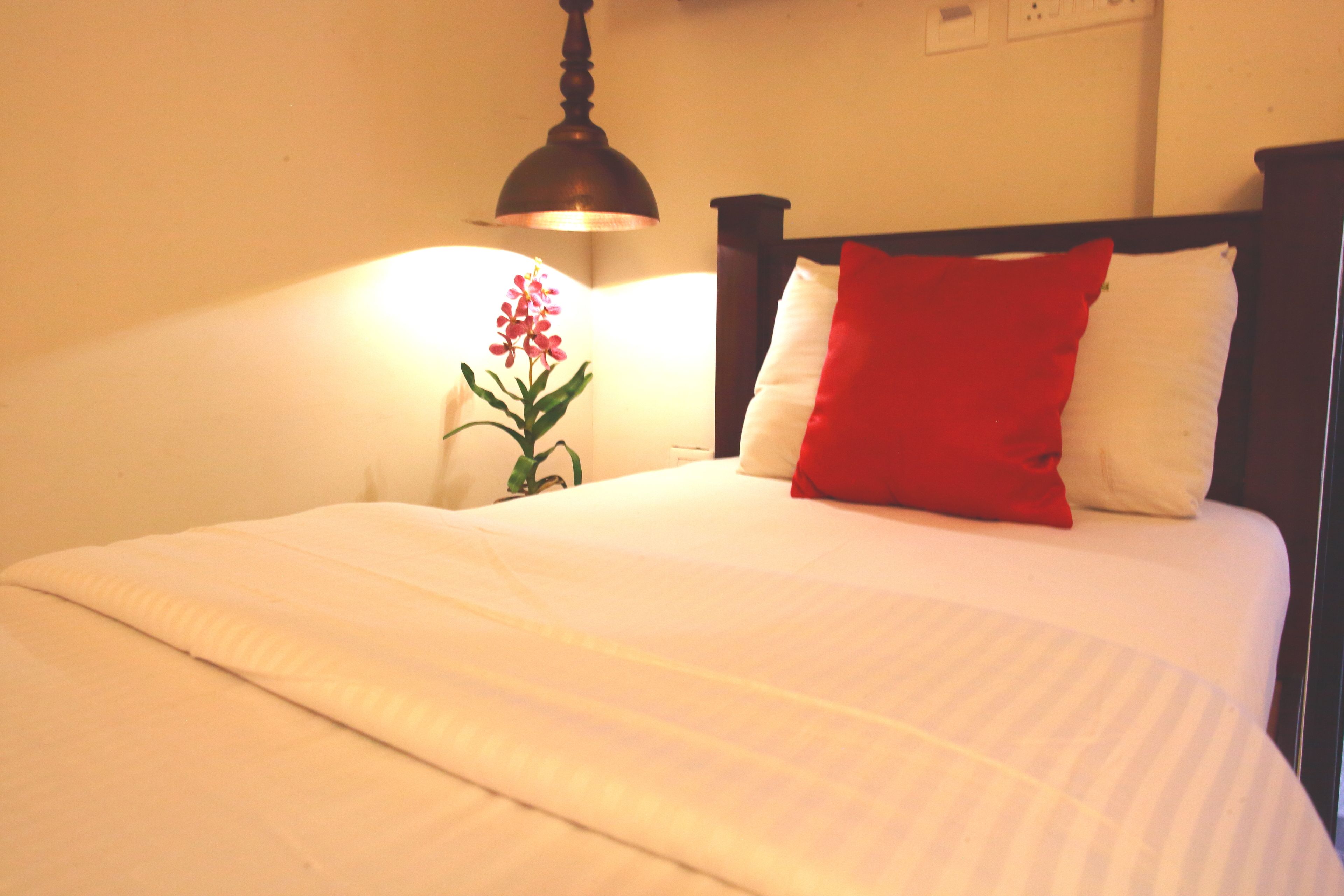 A neatly made bed with white bedding and a red pillow, a bedside lamp, and a potted plant.