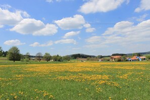 A field of yellow flowers with houses in the background. - Landhotel Kastanienhof (Georgenberg)
