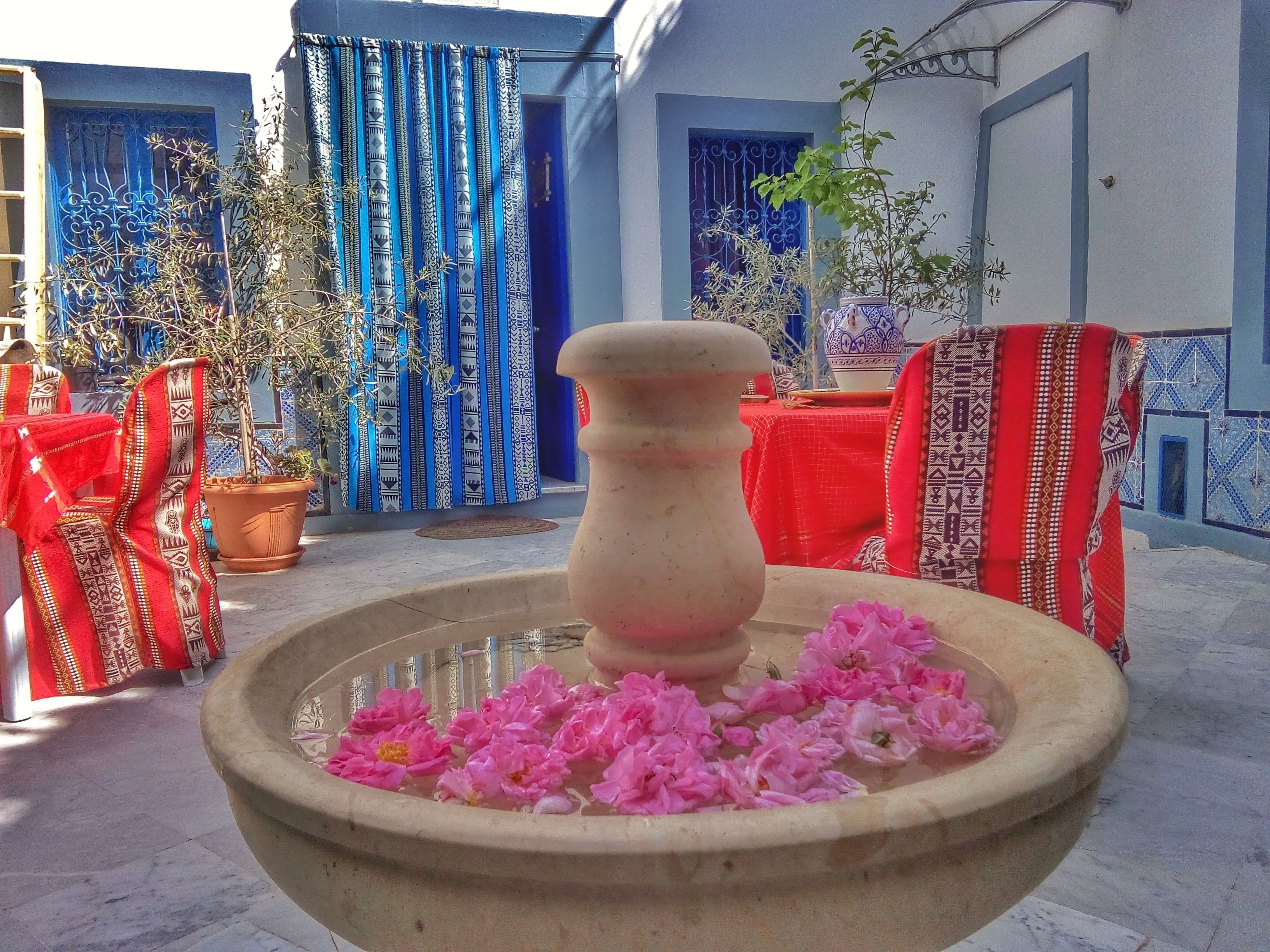 Un cortile con una fontana al centro, circondato da piante in vaso e una tenda a motivi blu e bianchi.