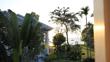 Pemandangan dari properti