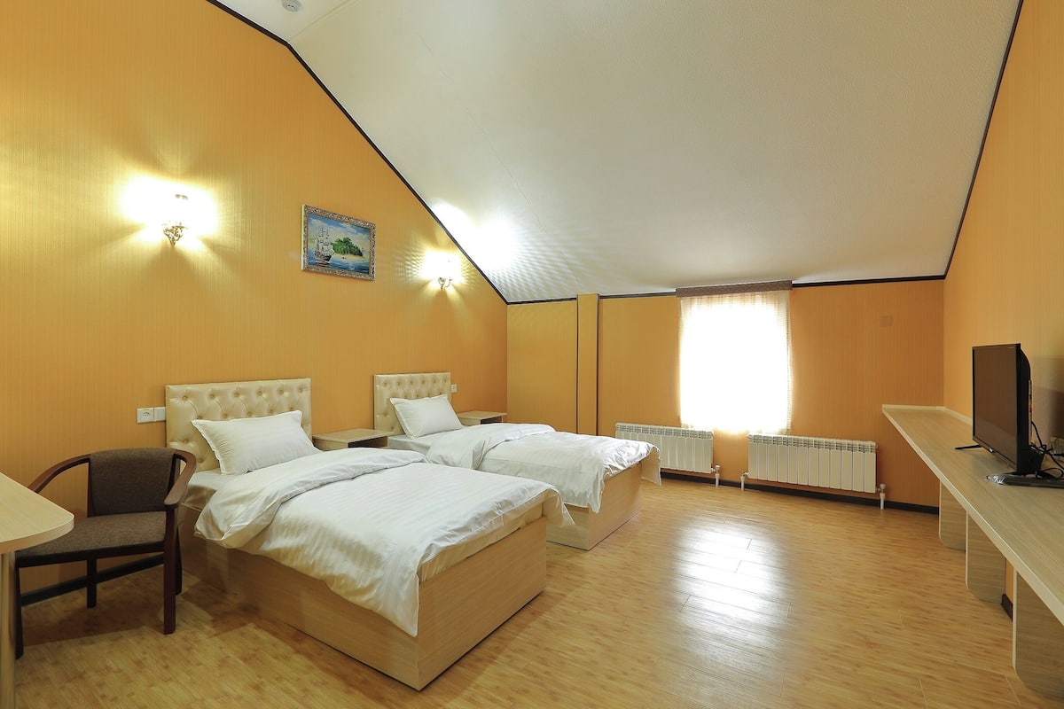 Standard Twin Room, 2 Twin Beds | 1 bedroom, premium bedding, down comforters, desk