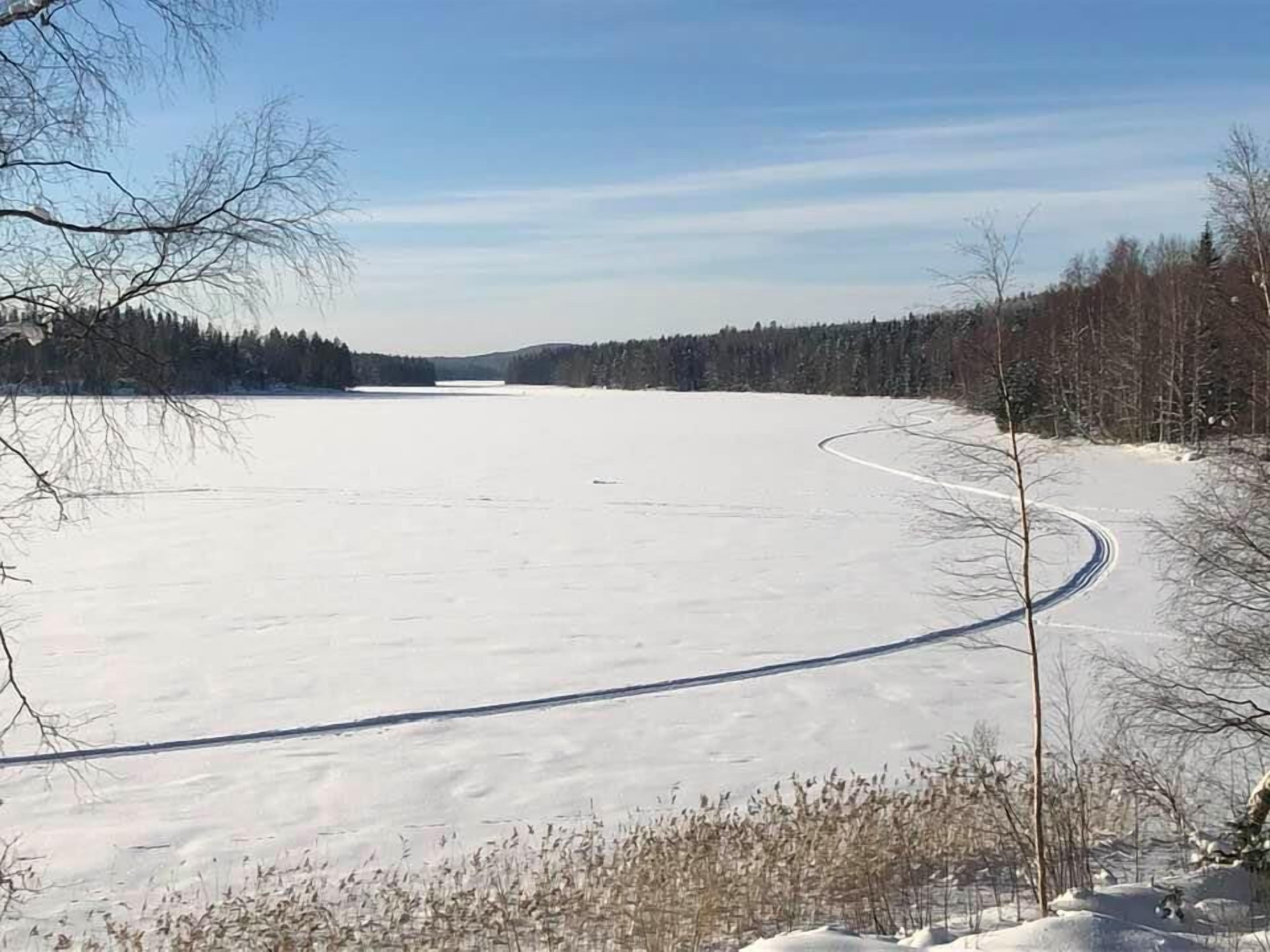 Skikjøring