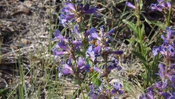 DĂ©tail de lâintĂ©rieur