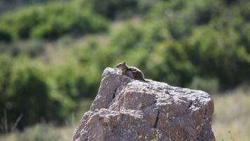 Enceinte de lâhĂ©bergement