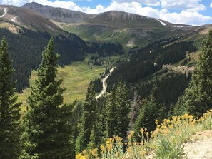 Property grounds - Camping In The Rockies - A Unique Experience (Canon City)
