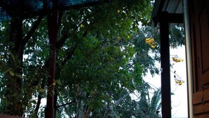 Terrace/patio - Phu Mi Lum Nao House (San Kamphaeng)