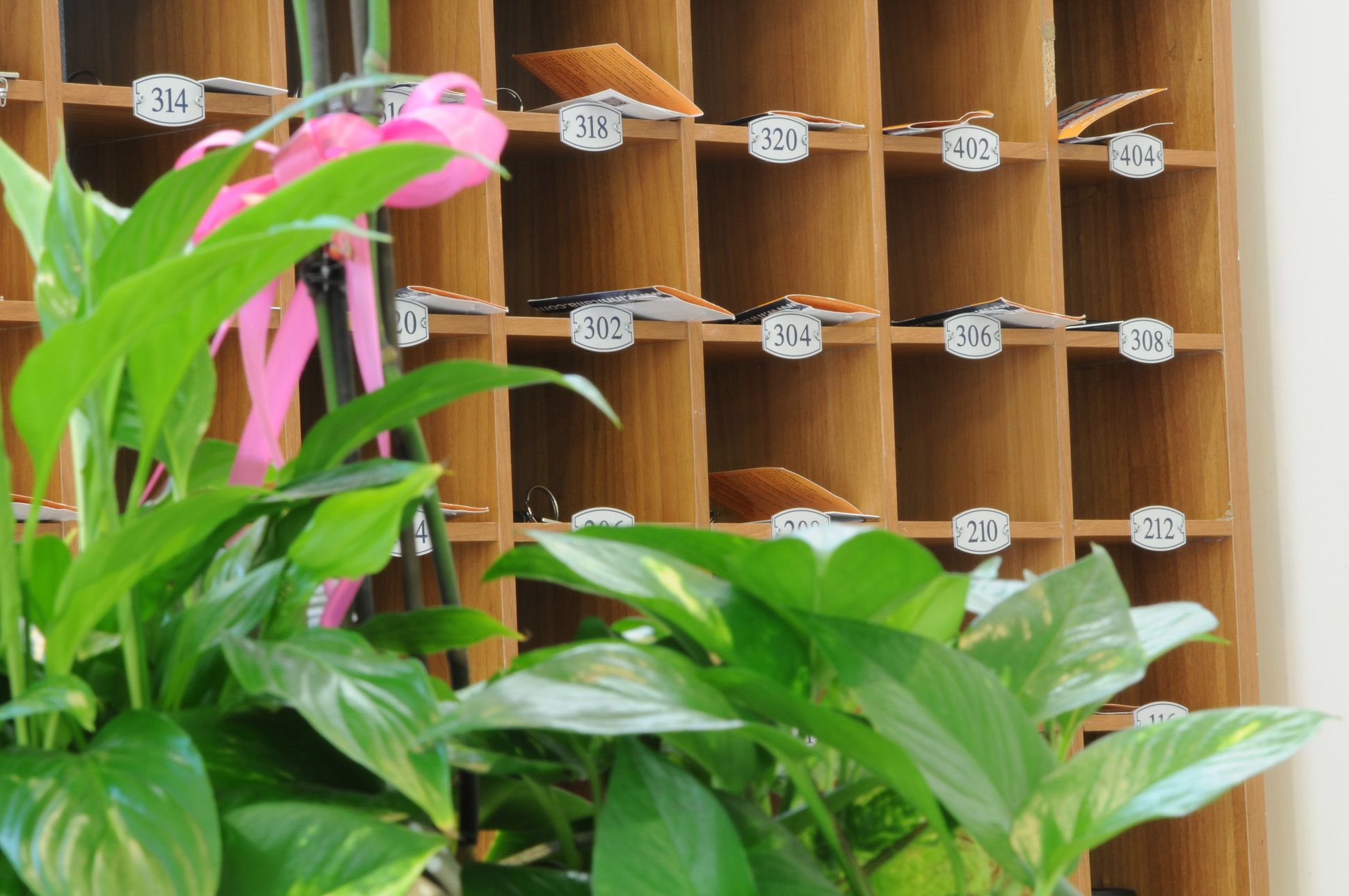A wooden shelving unit with numbered compartments, likely for storage or organization of items.