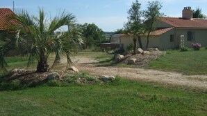 Una propiedad rural con un sendero de tierra, palmeras y una casa con techo de tejas rojas.