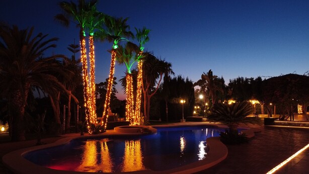 Una piscina rodeada de palmeras decoradas con luces de cadena, que reflejan las luces en el agua.