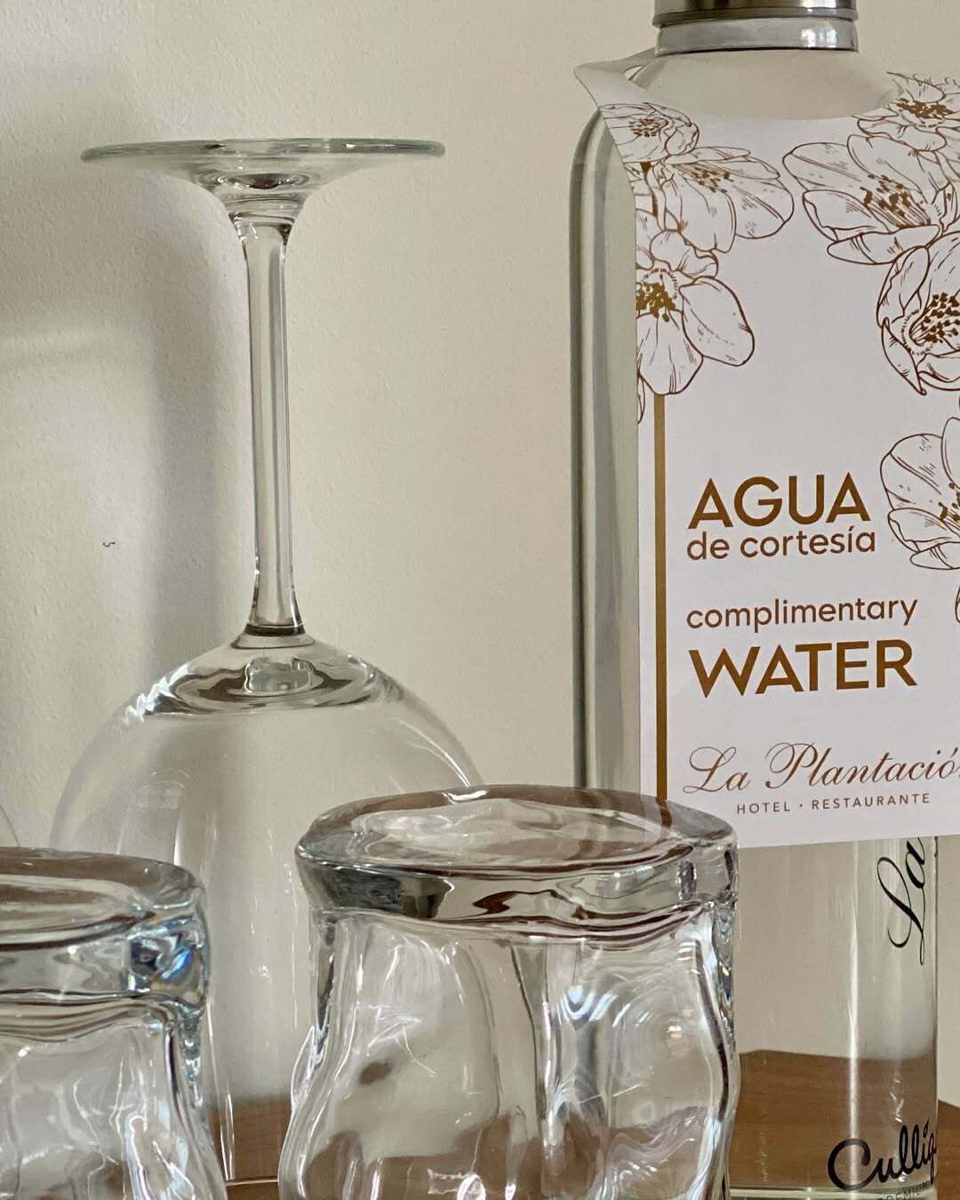 Photo - Hotel La Plantación