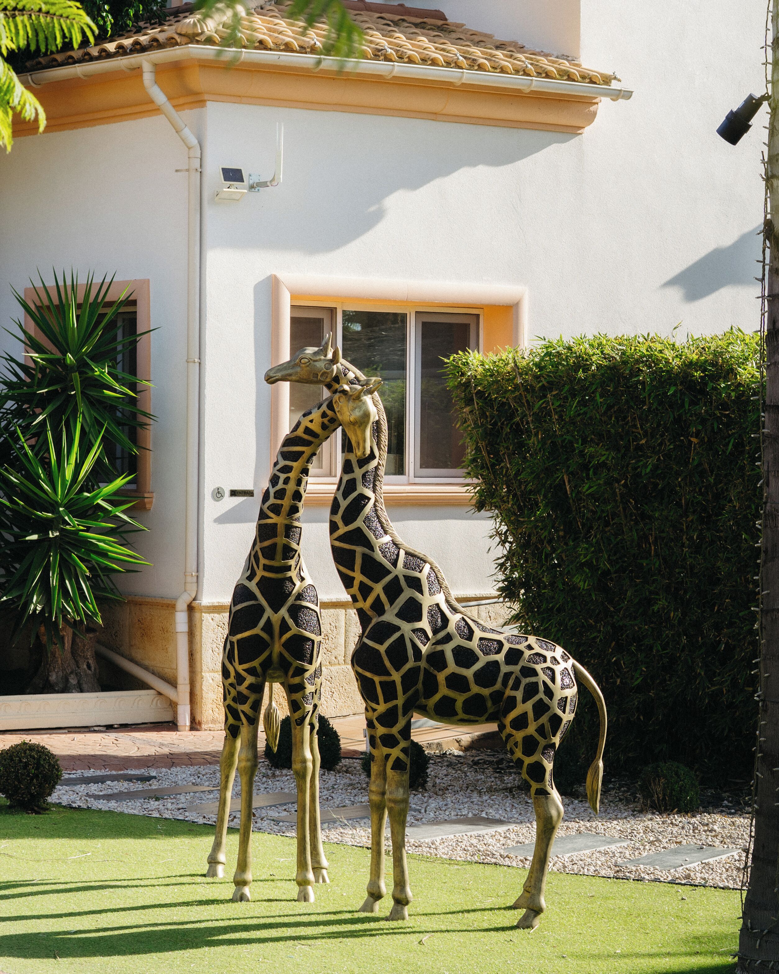 Foto - Hotel La Plantacion