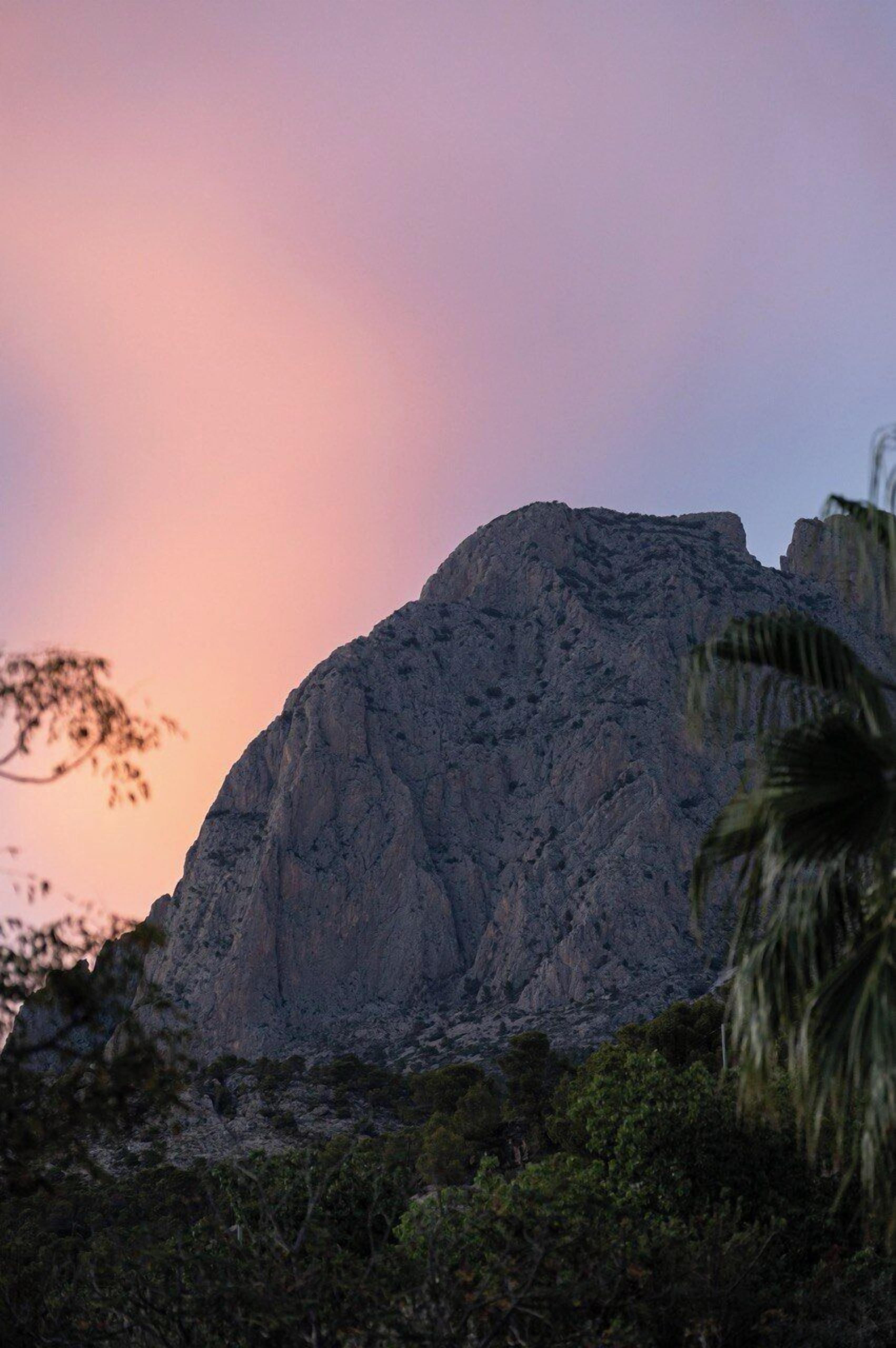 Photo - Hotel La Plantación