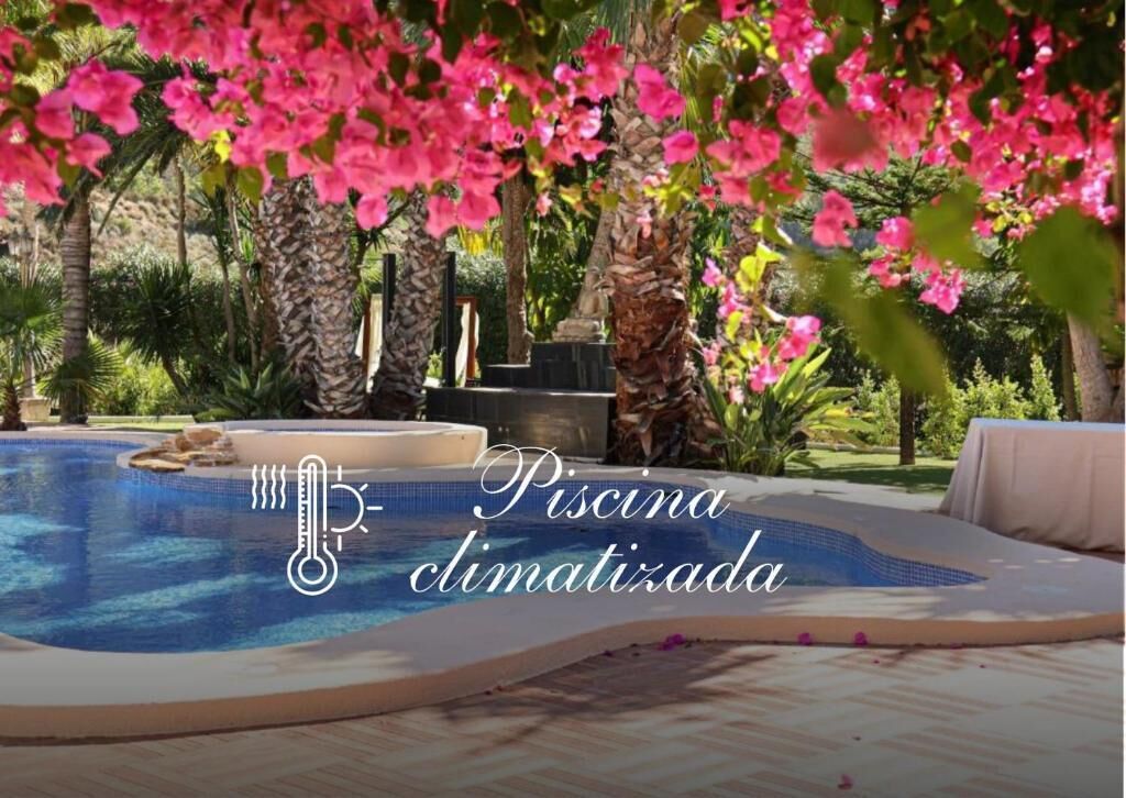 Alberca al aire libre, acceso de 09:00 a 22:00, y camastros 