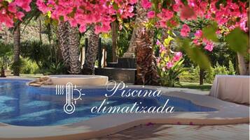 Alberca al aire libre, acceso de 09:00 a 22:00, y camastros