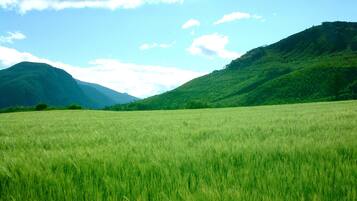 Un campo cubierto de hierba con montañas al fondo.