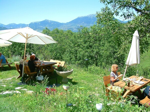 الأطباق النباتية