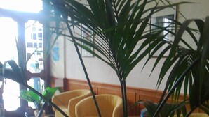 Een woonkamer met gele banken, een salontafel en een bloeiende plant in een pot.