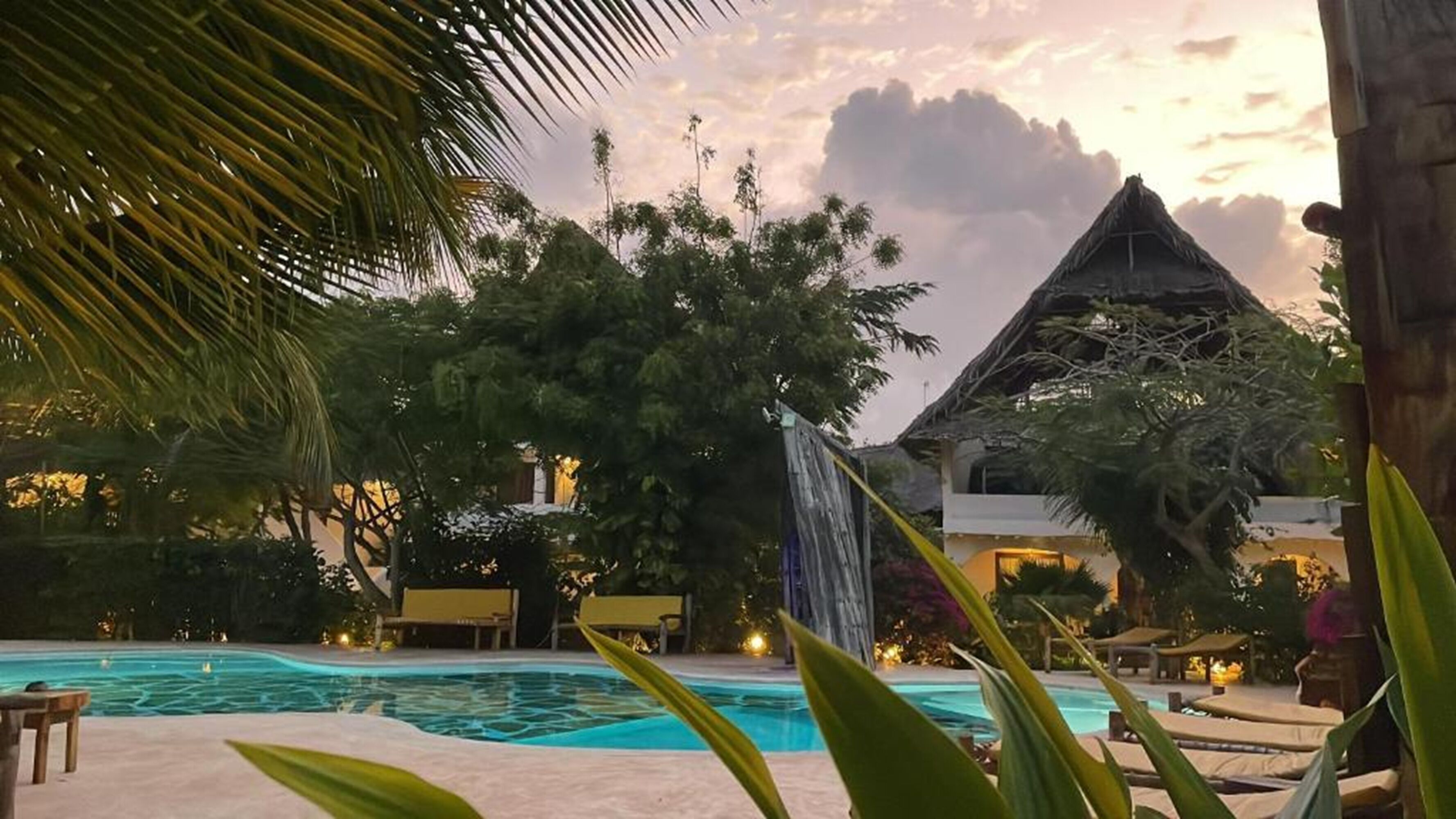 Un espace piscine agrémenté d’une cascade, entouré d’une végétation tropicale et d’une structure à toit de chaume.