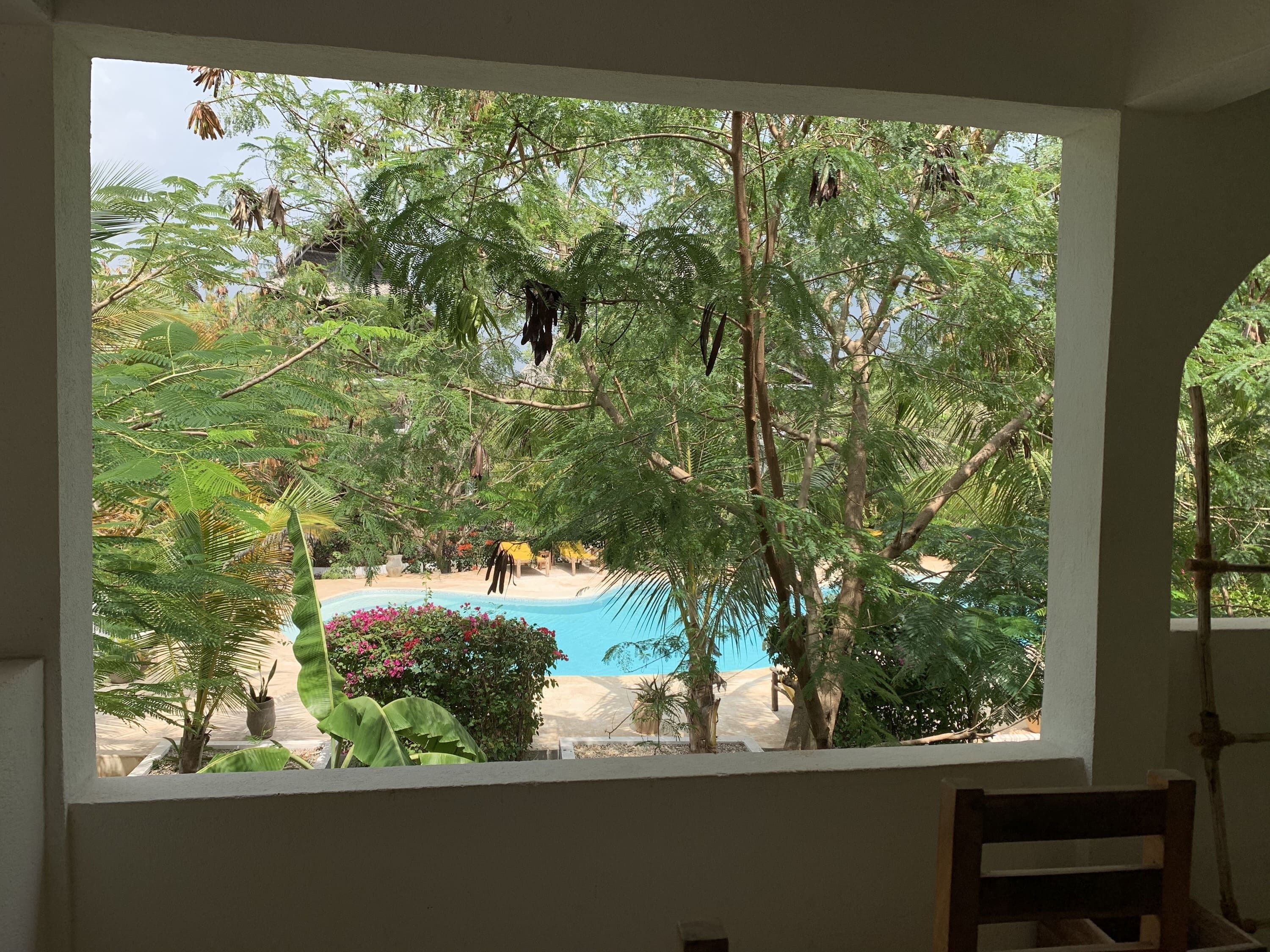 Une vue depuis une fenêtre donnant sur un espace piscine, avec une végétation luxuriante et des arbres.