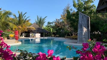 Outdoor pool, sun loungers