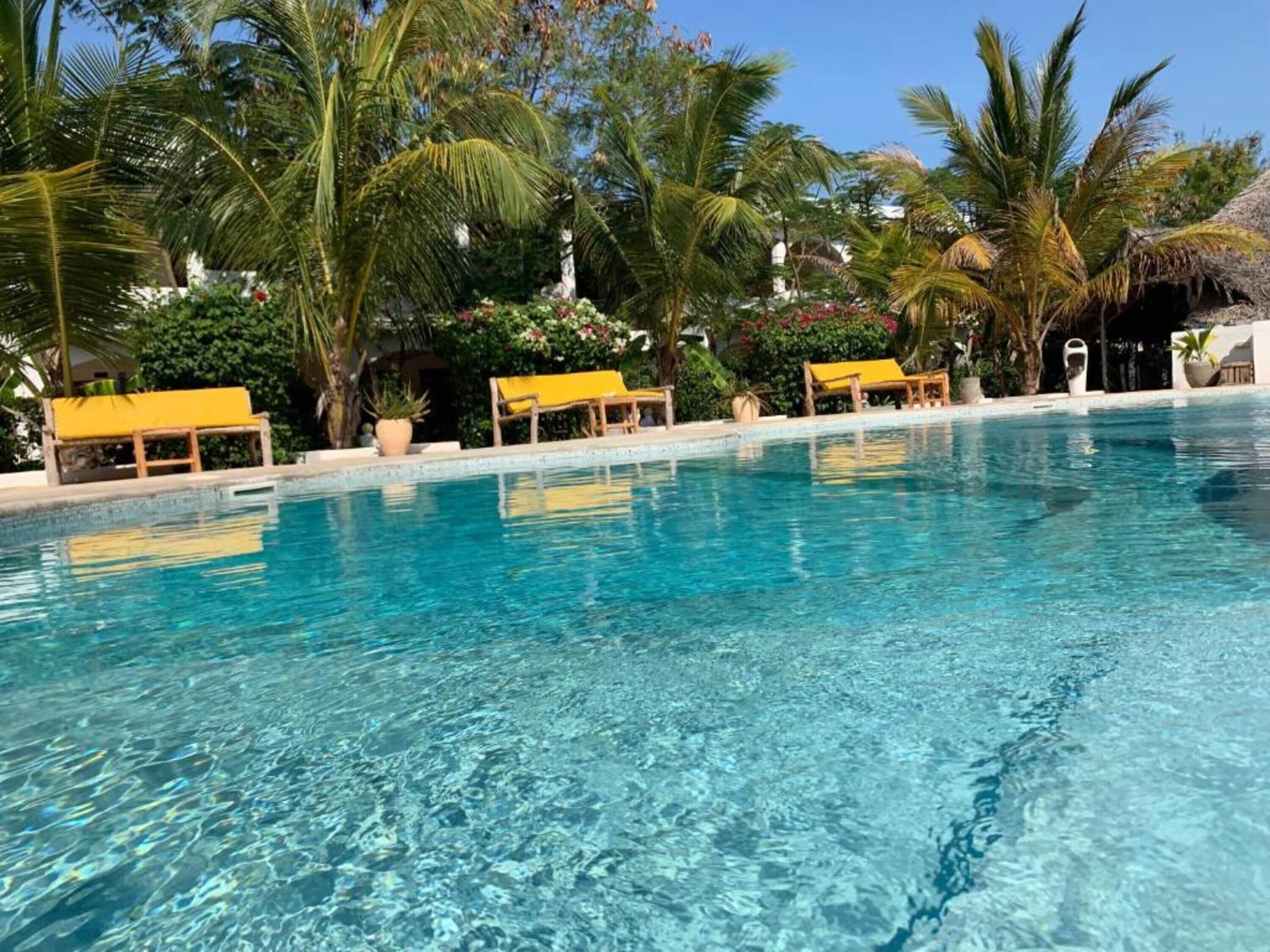 Outdoor pool, sun loungers