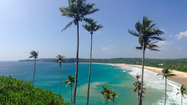 Vista costera con altas palmeras y una playa.